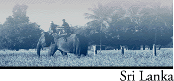 export2.gif (22059 bytes)
